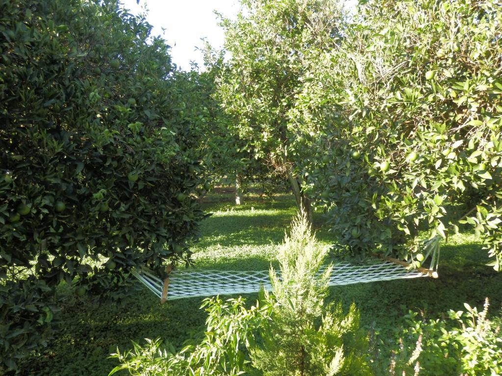 Bed & Breakfast Mercan 3*