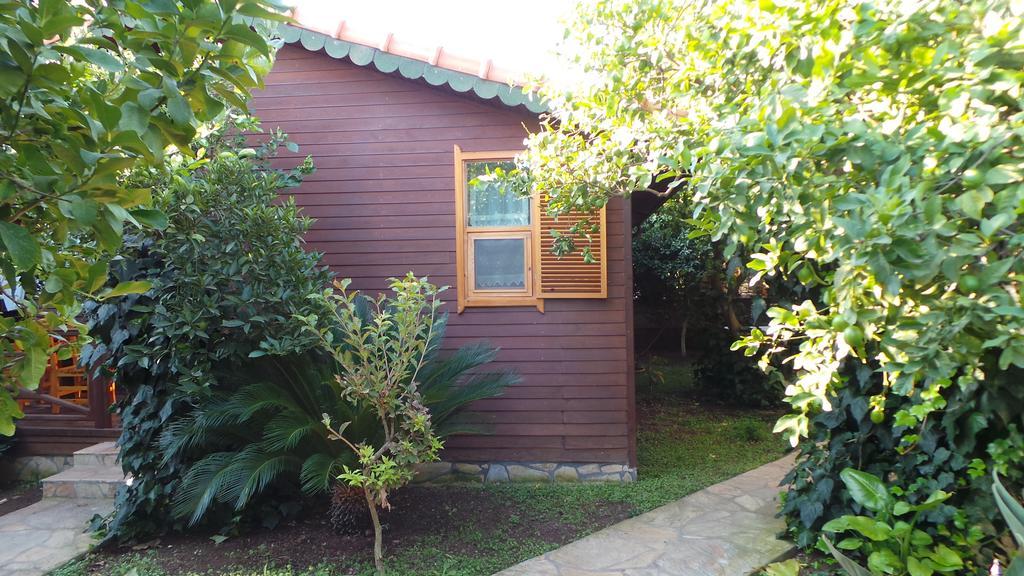 Mercan Bed & Breakfast Çıralı