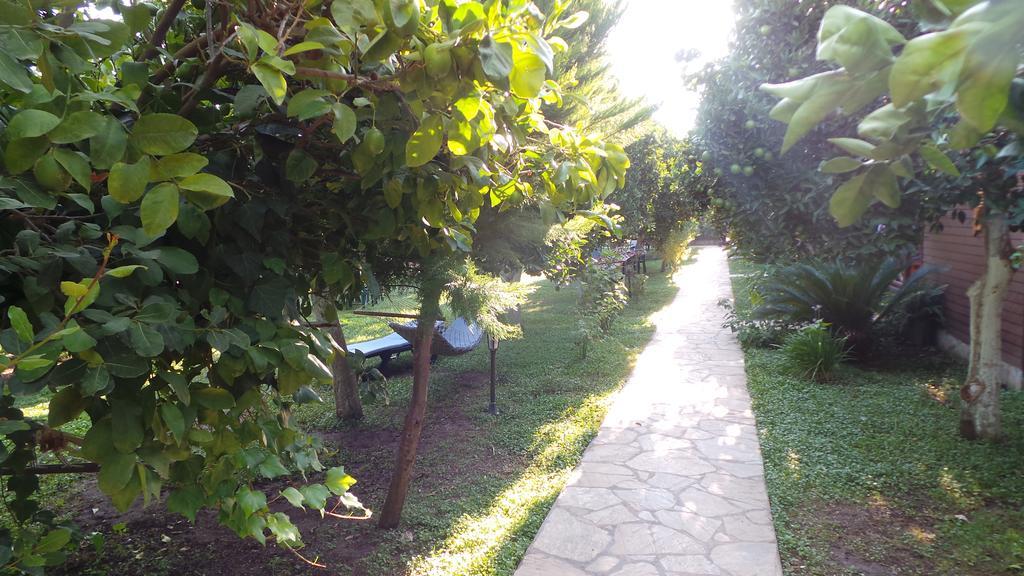Mercan Bed & Breakfast Çıralı