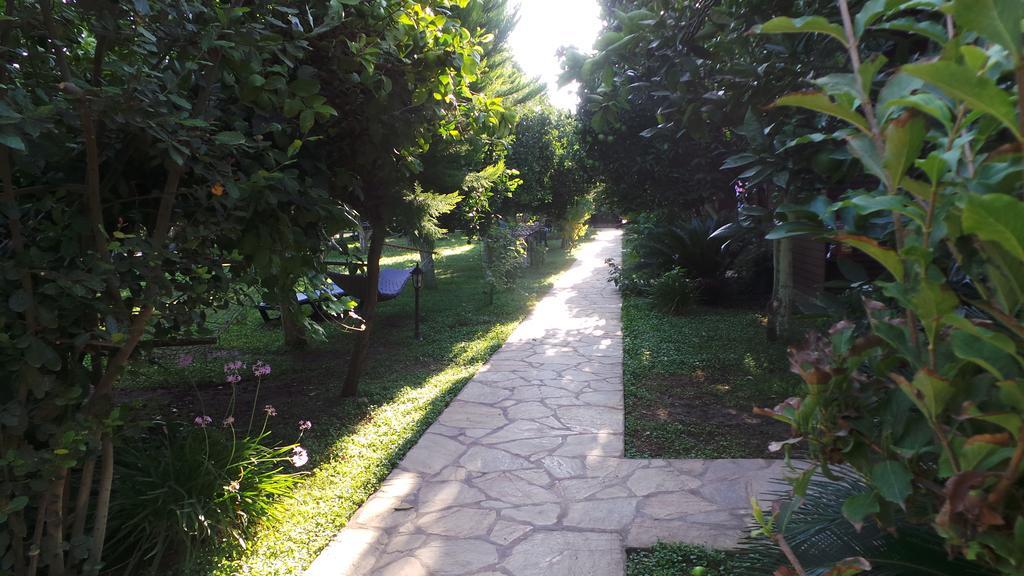 Mercan Bed & Breakfast Çıralı