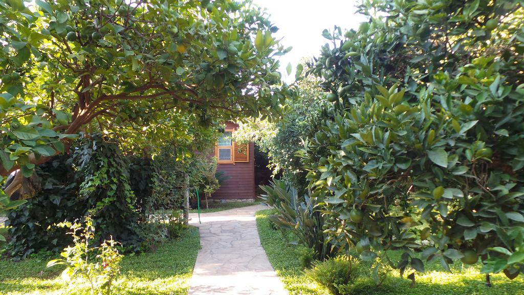 Mercan Bed & Breakfast Cirali