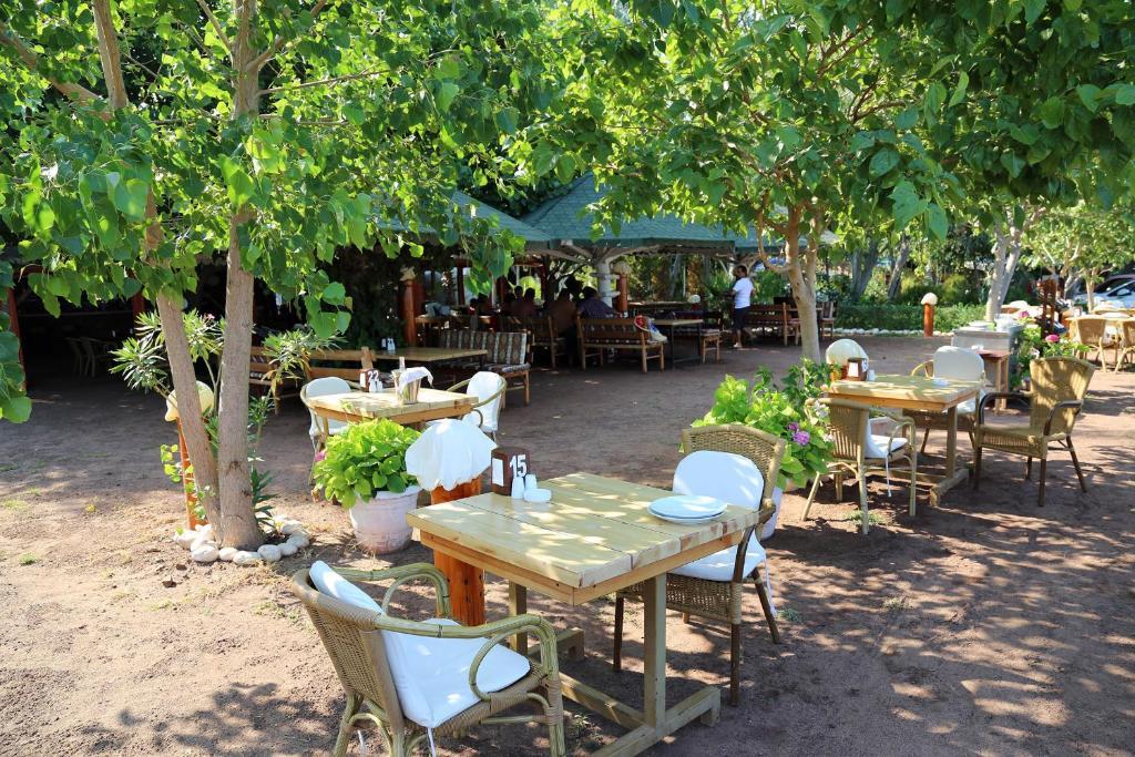 Mercan 3* Çıralı