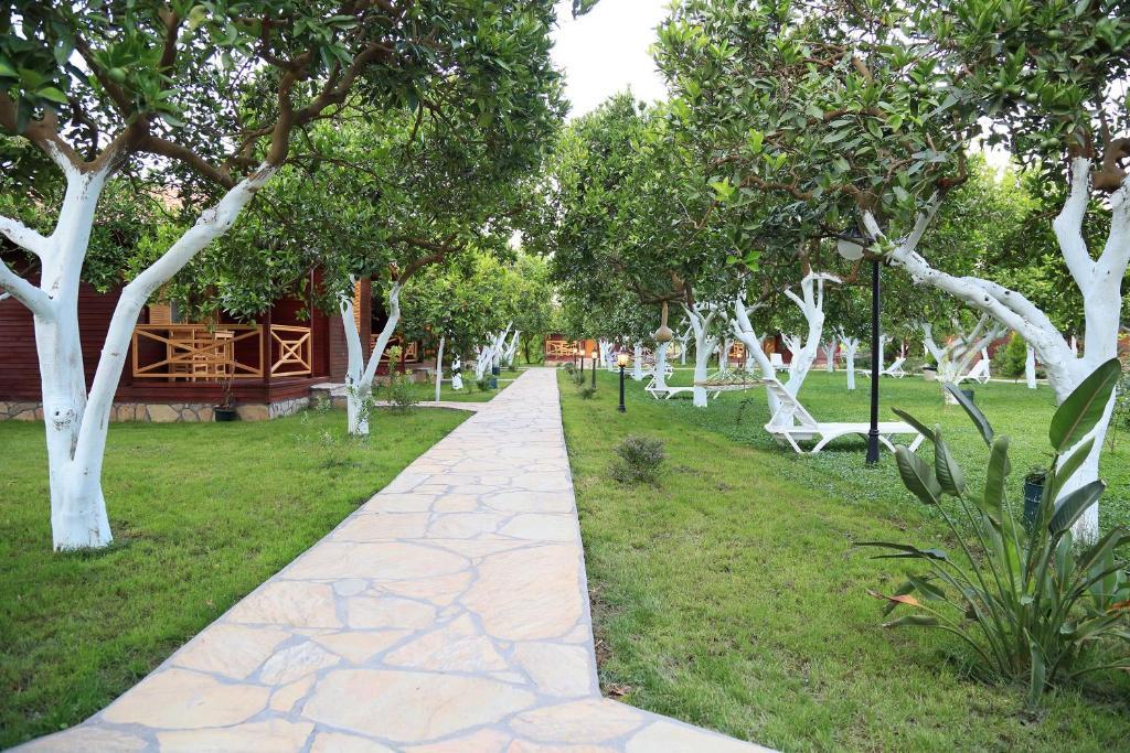 Mercan Çıralı